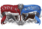 Онлайн проект &laquo;Overkings&raquo;